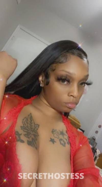 Bribri 25Yrs Old Escort New Orleans LA Image - 9