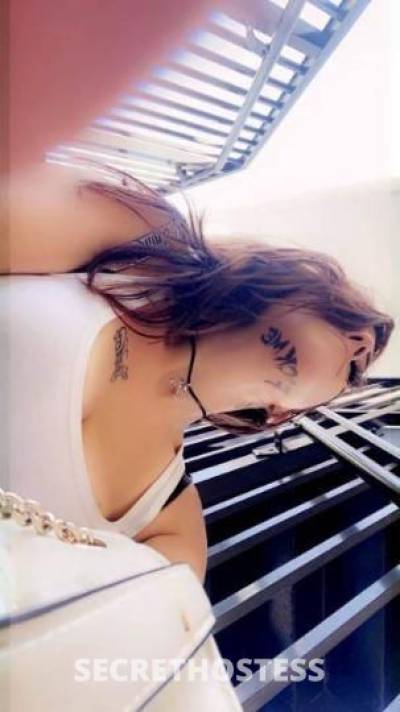 CaitieCakes 28Yrs Old Escort Jacksonville FL Image - 4