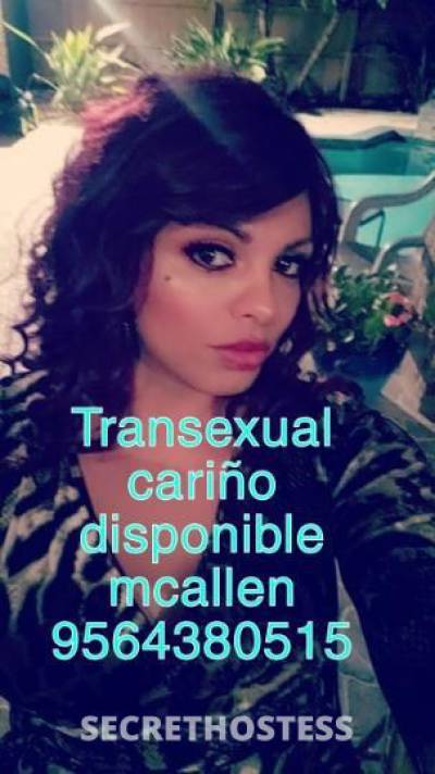 Cariño 25Yrs Old Escort McAllen TX Image - 1