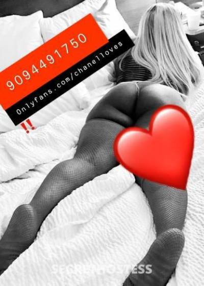 Chanel 25Yrs Old Escort Wilmington DE Image - 5