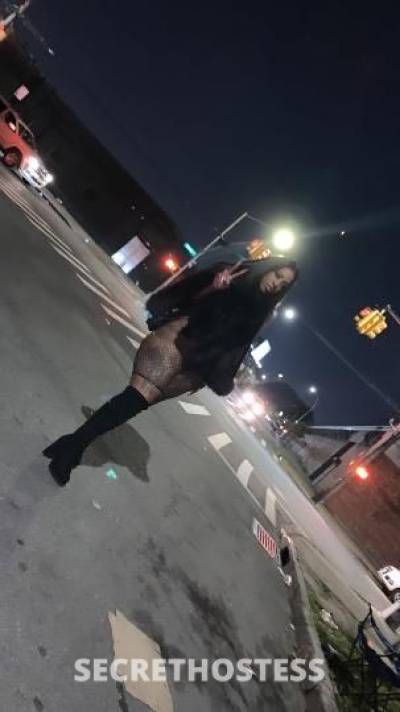 Currency 24Yrs Old Escort Queens NY Image - 1