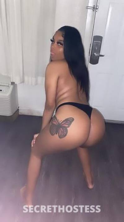 Honey 21Yrs Old Escort New Orleans LA Image - 3