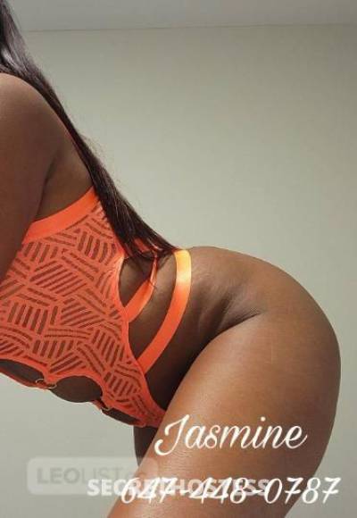 Jasmine 26Yrs Old Escort Toronto Image - 3