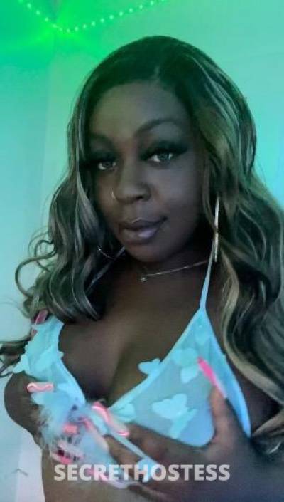 Jewelz 23Yrs Old Escort Seattle WA Image - 1