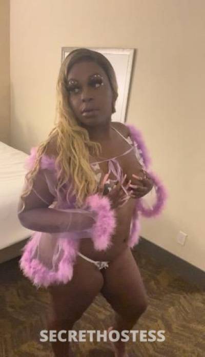 Jewelz 23Yrs Old Escort Seattle WA Image - 8