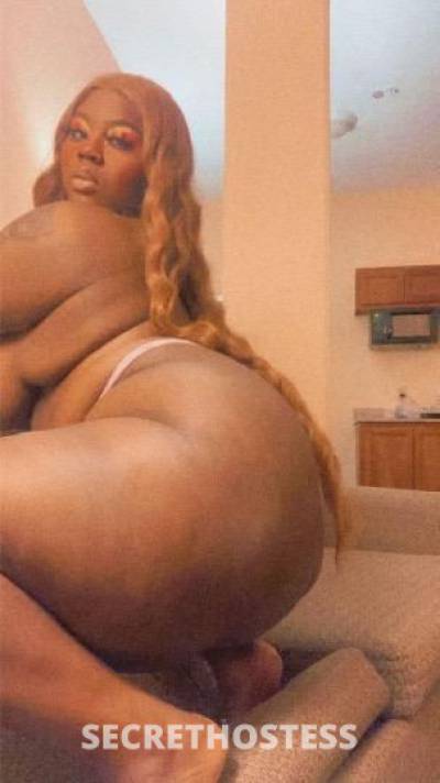 Kandyyyy 23Yrs Old Escort Rochester NY Image - 4