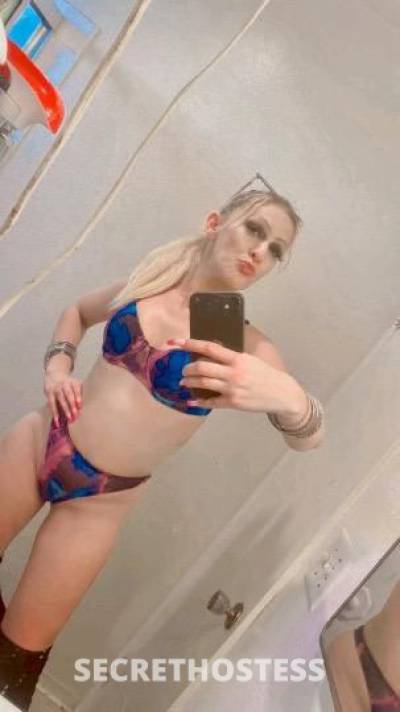 Lexie 27Yrs Old Escort San Diego CA Image - 3