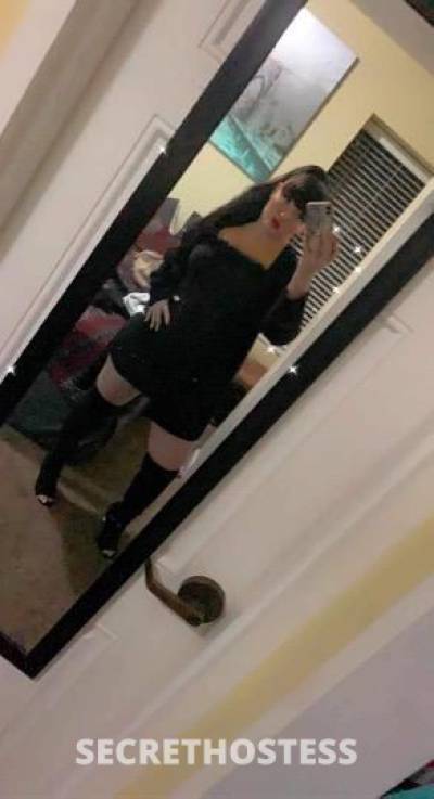 22 year old Escort in Rochester NY Its me im back limited time