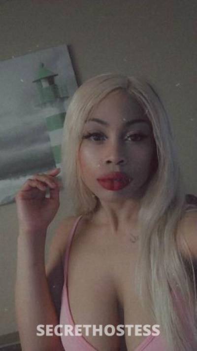 Lotusbaby 22Yrs Old Escort San Jose CA Image - 5