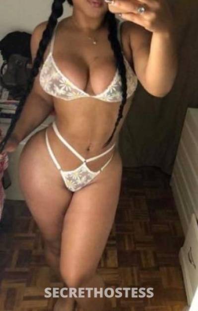 Lucy 26Yrs Old Escort Miami FL Image - 0