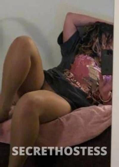 Missy 41Yrs Old Escort Size 16 Wollongong Image - 5