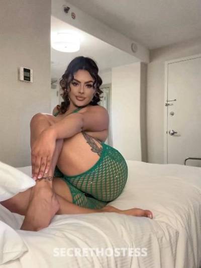 27 year old Latino Escort in San Francisco CA brunette Latina waiting to fulfill your needs