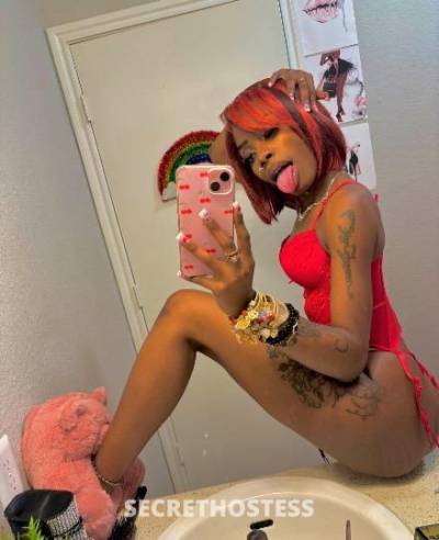 Nunu 20Yrs Old Escort San Antonio TX Image - 0