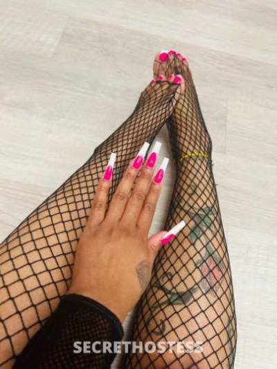 28 year old French Escort in Columbia SC Orangeburg...... ... . ........ ... . .... .... ..New York&#