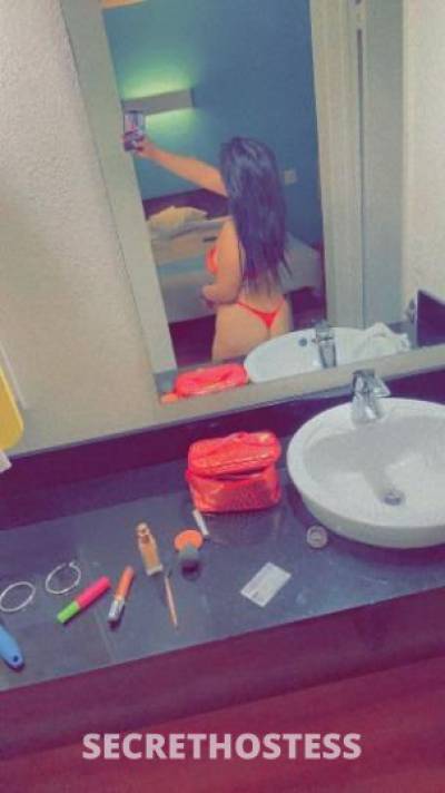 Paula 21Yrs Old Escort Dallas TX Image - 3