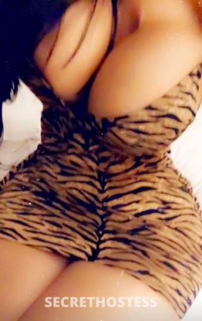 Star⭐️ 27Yrs Old Escort Orlando FL Image - 11