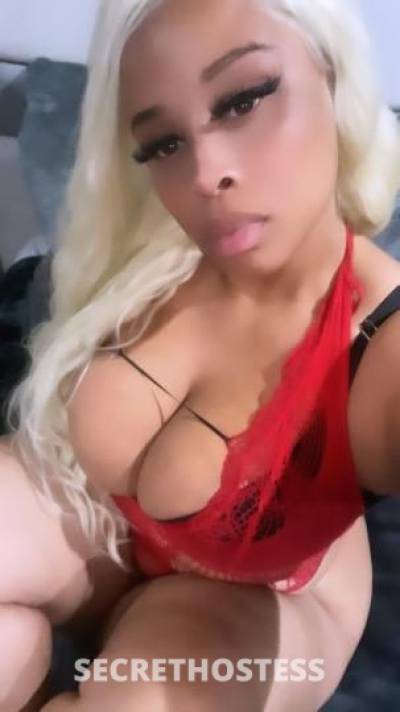 Wynter 24Yrs Old Escort Los Angeles CA Image - 6