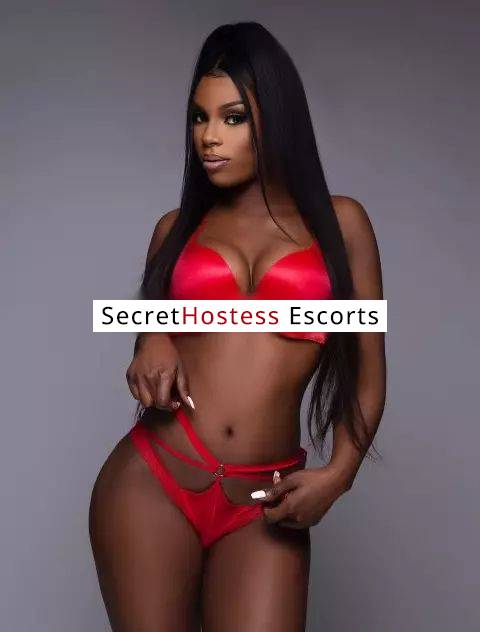 Dior diamond 25Yrs Old Escort 63KG 167CM Tall Denver CO Image - 4