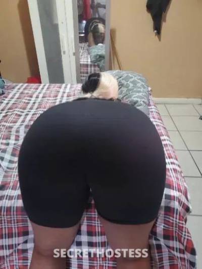  Caramel Machii 26Yrs Old Escort Burlington VT Image - 7