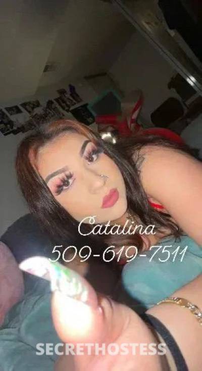  Catalina 19Yrs Old Escort Tri-Cities WA Image - 2