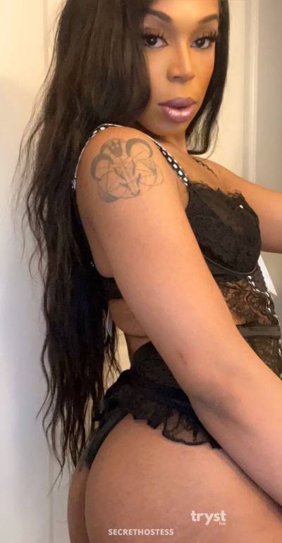 20Yrs Old Escort Size 10 Denver CO Image - 3