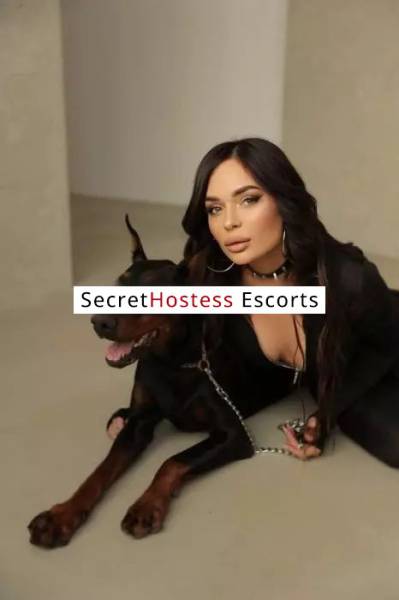 24 Year Old Escort Belgrade Brunette - Image 4