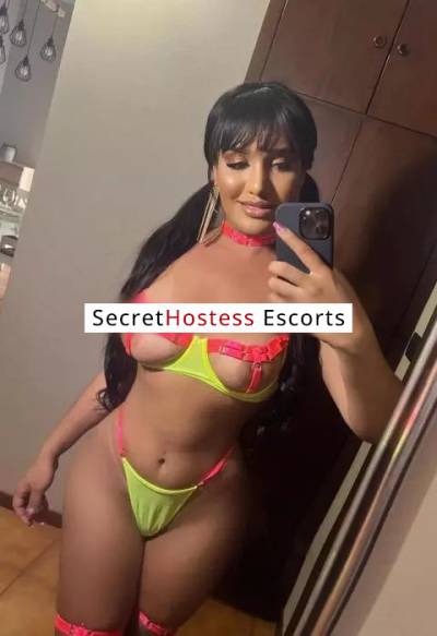 26 Year Old Brazilian Escort Osijek - Image 2