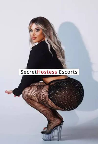 26 Year Old Middle Eastern Escort Yerevan Blonde - Image 3