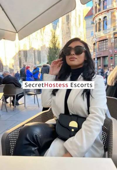 24 Year Old Escort Vienna Brunette - Image 2