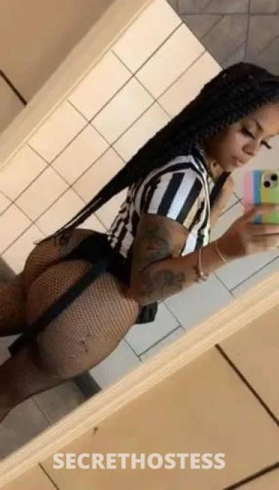Leticia 28Yrs Old Escort Western Slope CO Image - 1