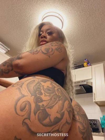 24 year old Escort in Chattanooga TN xxxx-xxx-xxx .Horny✨Queen.Available For. .Incall/Outcall.