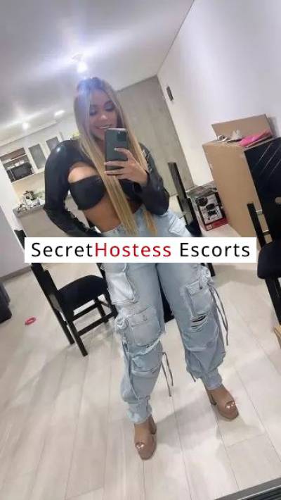 Paola 26Yrs Old Escort Tampa FL Image - 2