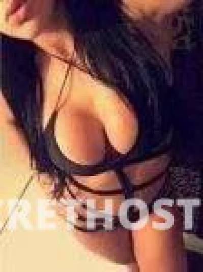 SOPHIA 24Yrs Old Escort Chicago IL Image - 1