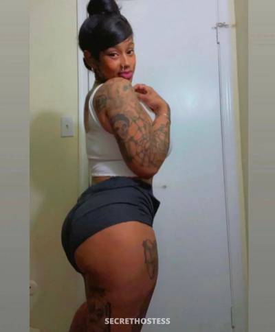 Tracy 25Yrs Old Escort Columbia SC Image - 0