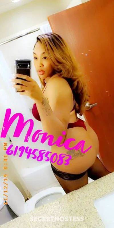 monica619  🌟 26Yrs Old Escort Roswell / Carlsbad NM Image - 2