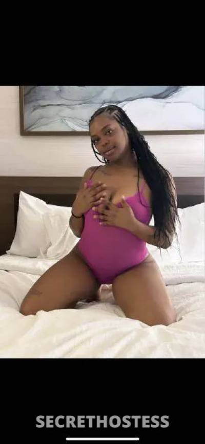 23 Year Old Caribbean Escort Tampa FL - Image 1