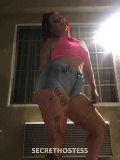 Alicia Stewart 24Yrs Old Escort Tyler TX Image - 6