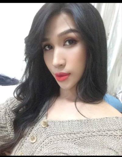 Anna, Shemale Escort. District 1, Hcm, Transsexual escort in Ho Chi Minh City
