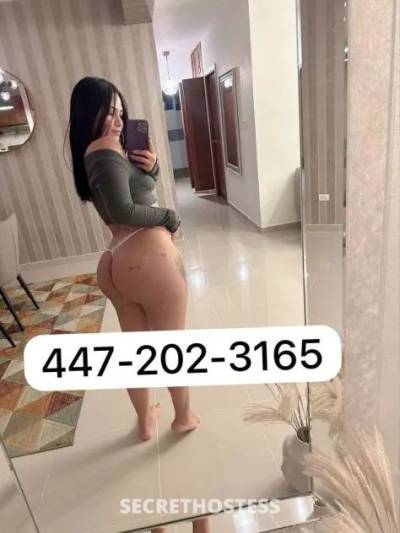 Jamie 24Yrs Old Escort Detroit MI Image - 3