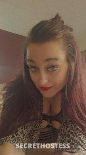 Jbunny(JR) 29Yrs Old Escort 165CM Tall Ann Arbor MI Image - 4