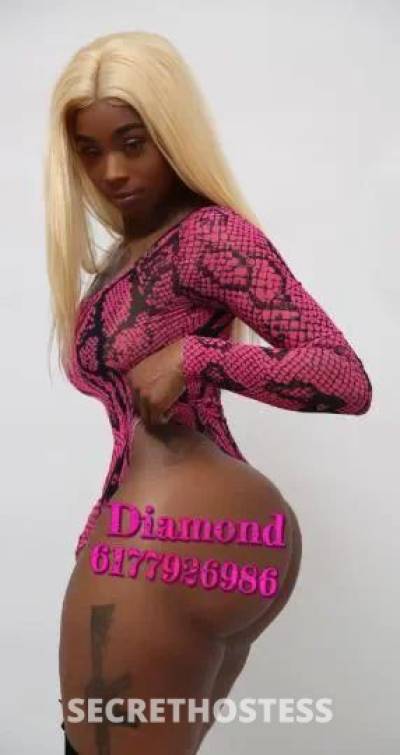  Dymond 25Yrs Old Escort Terre Haute IN Image - 3