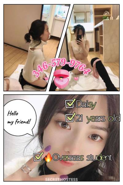 21 Year Old Chinese Escort Dallas TX - Image 4