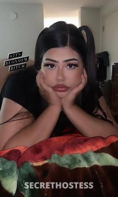 22 year old Latino Escort in Charlotte NC Isabella Bby Bad Latina Bitch ready to Fuck