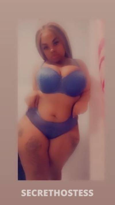 23Yrs Old Escort Tampa FL Image - 4