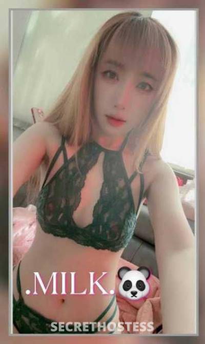 24Yrs Old Escort San Jose CA Image - 2
