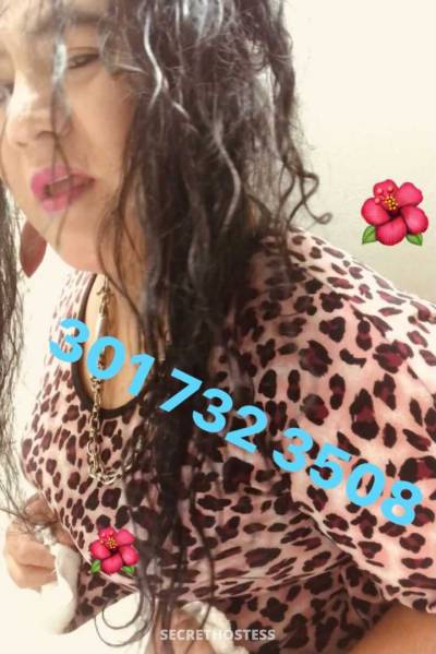 26Yrs Old Escort North Jersey Image - 2