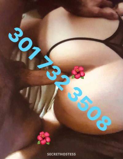 26Yrs Old Escort North Jersey Image - 3