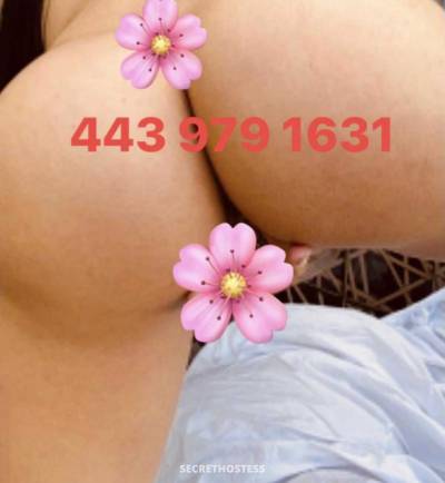 26Yrs Old Escort North Jersey Image - 3