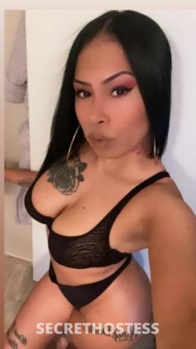 27Yrs Old Escort San Diego CA Image - 2