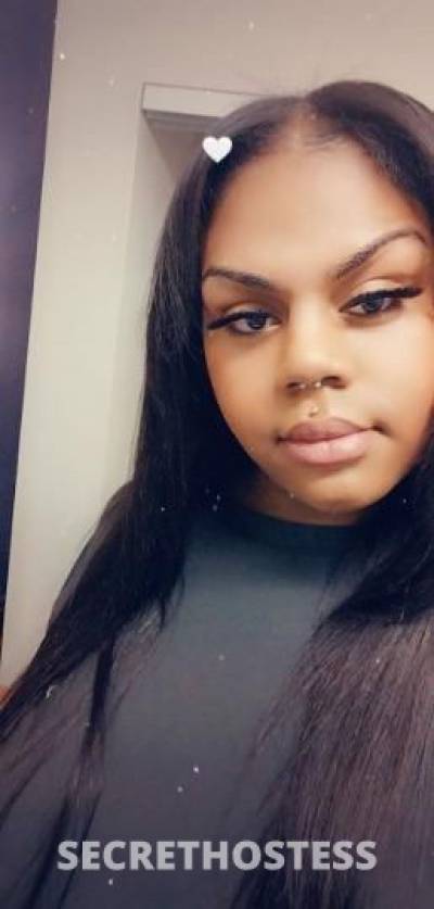 28 year old Escort in New York City NY Pittsburgh Beauty Visiting now Facetime Verifiable
